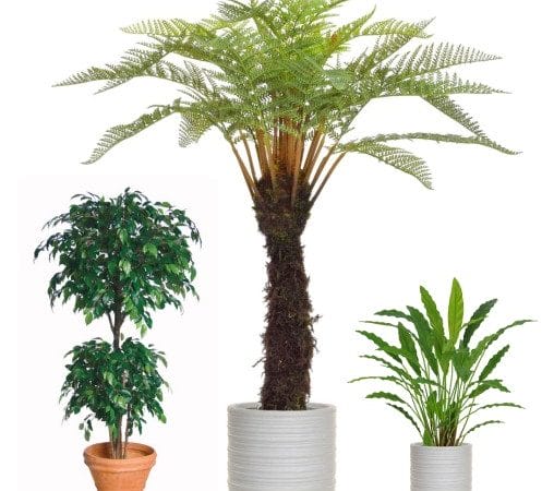 Artificial Plants & Trees for Businesses